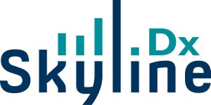 SkylineDX Logo