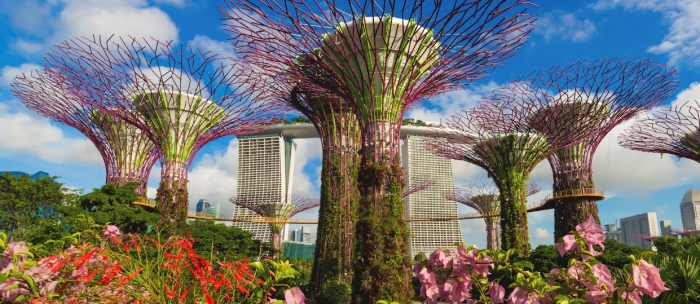 Singapore: From Exception to Exceptional