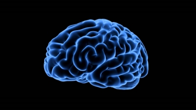 Switzerland: Europe’s Brain