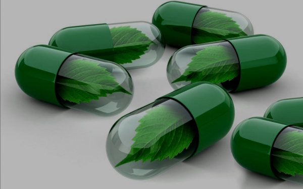 Natural Products and Supplements in Serbia: A Growth Spot