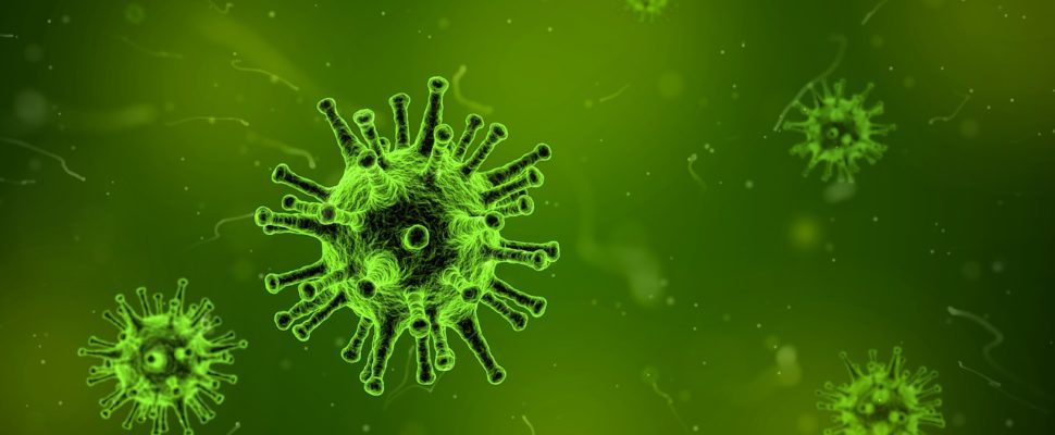 China’s Vaccine Crisis