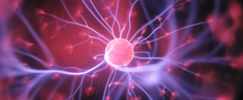 5 Biotechs to Watch in Spain