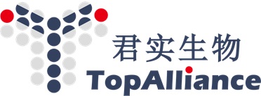 company_picture