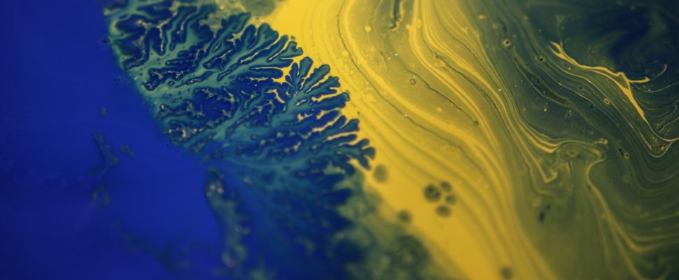 Bayer: Betting Big on Cell & Gene Therapy