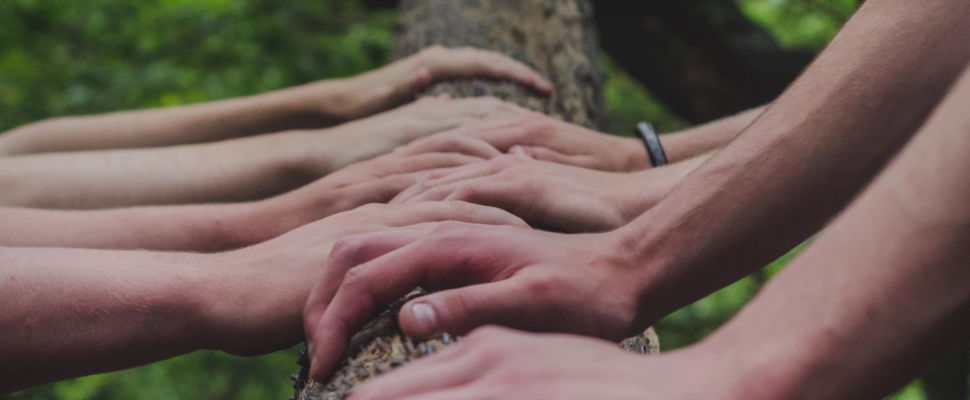 Collective Impact in the Health Charity Sector