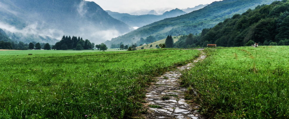 Pathways to Financing Innovation in Hungary