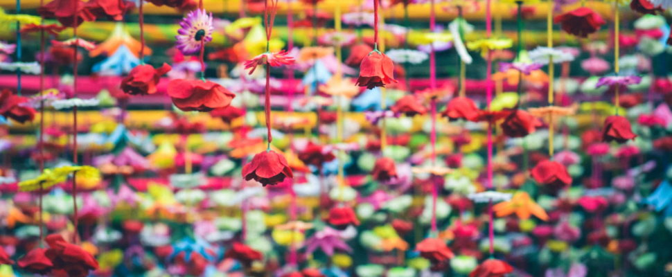 India: Key Pricing & Reimbursement Developments in 2019