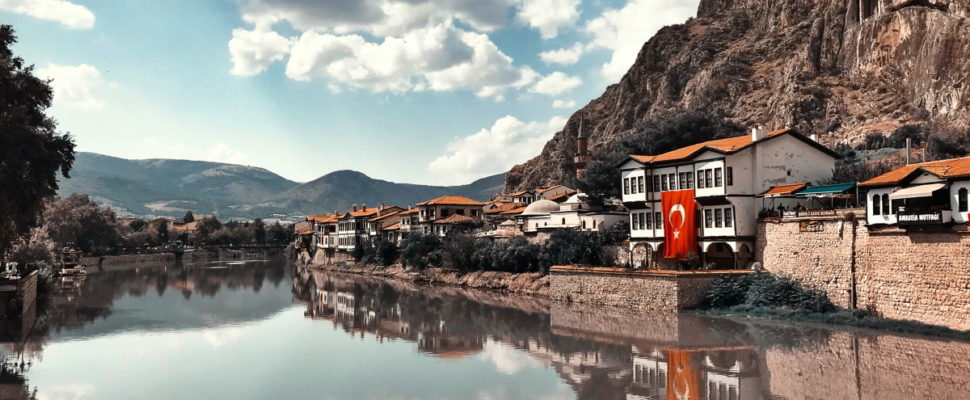 Compulsory Licensing & Public Health during the COVID-19 Pandemic in Turkey