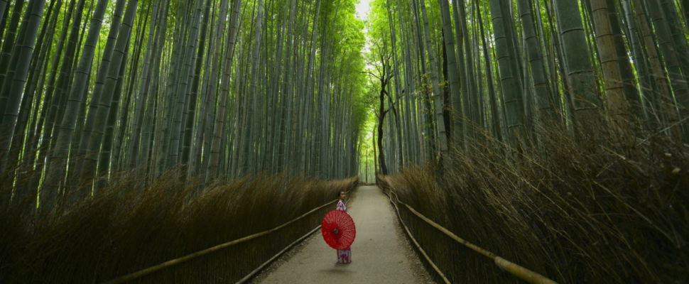 How Chugai Became Japan’s Top Pharma Company