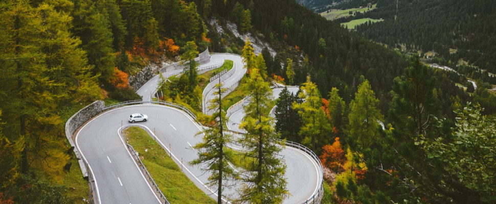 Swiss Pharma: Staying the Course