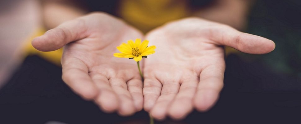 Evolving Compassionate Use and Named Patient Programs Across Asia Pacific
